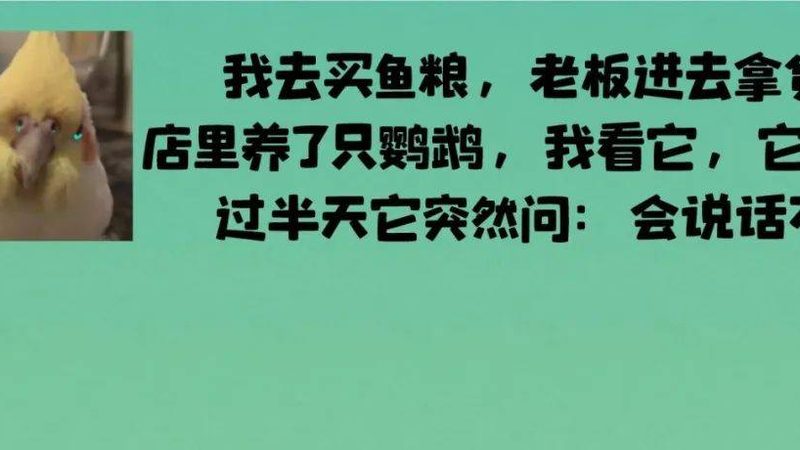 饼干烘焙：食材清单与用量揭秘