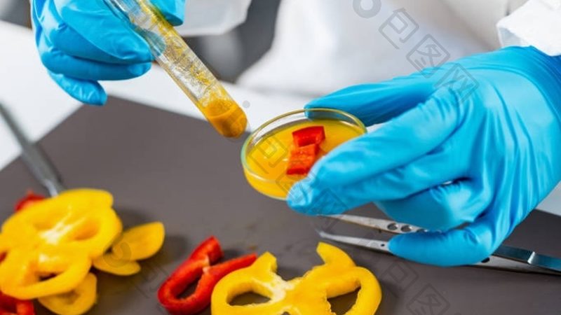 食品批发零售系统：揭秘其核心功能与选型要点